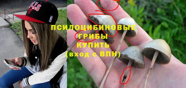 мет Алзамай